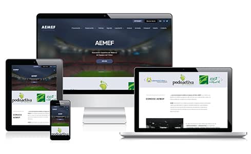 Web de AEMEF (Asociación Española de Medicos de Equipos de Fútbol)